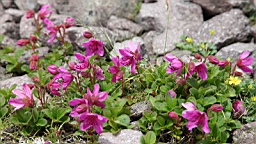 IMG_1284.JPG