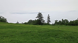 IMG_1354.JPG