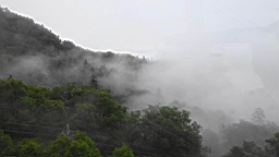 IMG_1355.JPG