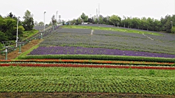 IMG_1357.JPG