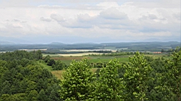 IMG_1531.JPG