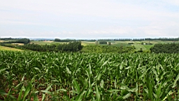 IMG_1559.JPG