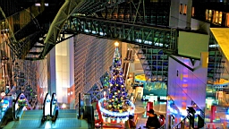 IMG_6698.JPG