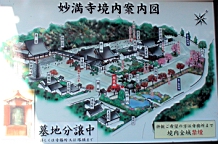 DSC00348.JPG