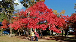 IMG_6717.JPG