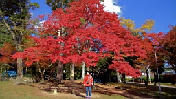 IMG_6719.jpg
