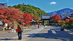 IMG_6747.JPG
