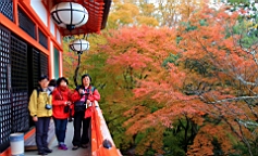 IMG_6783.JPG