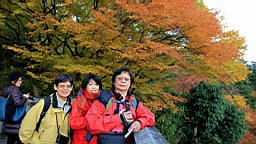 IMG_6804.JPG