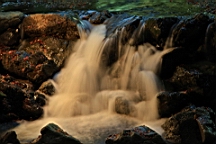 IMG_6862.JPG