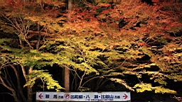 IMG_6897.JPG