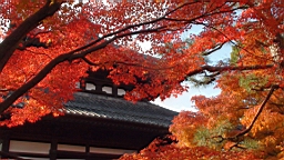 DSC00421.JPG