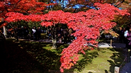 IMG_6982.JPG