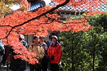 IMG_6996.JPG
