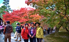 IMG_7004R.jpg