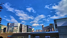 IMG_7045.JPG