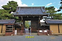 IMG_7054.JPG
