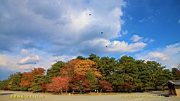 IMG_7057.JPG