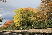 IMG_7074.JPG