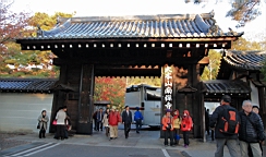 IMG_7163.JPG