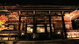 IMG_7217.JPG