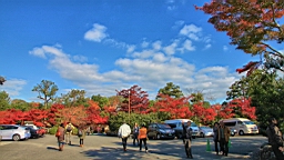 IMG_7377.JPG