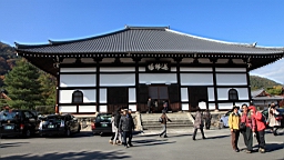 IMG_7379.JPG