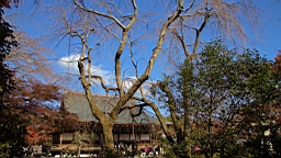 IMG_7405.jpg