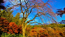 IMG_7416.jpg