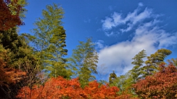 IMG_7418.jpg