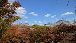 IMG_7424.jpg