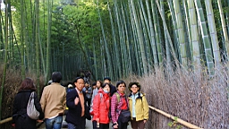 IMG_7513.JPG