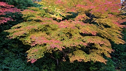 IMG_7551.jpg