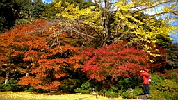 IMG_7560.jpg