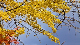 IMG_7562.jpg