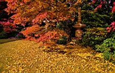IMG_7563.jpg