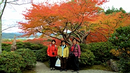 IMG_7581.jpg