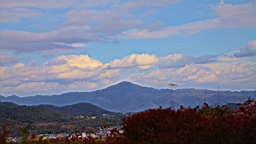 IMG_7585.jpg
