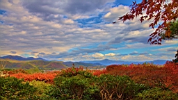 IMG_7586.jpg