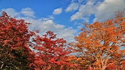 IMG_7626.JPG
