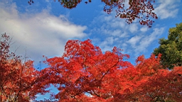 IMG_7637.JPG