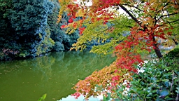 IMG_7660.JPG