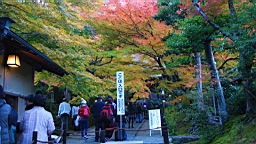 IMG_7665.JPG