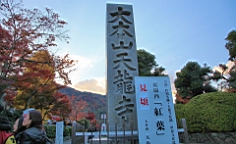 IMG_7677.JPG