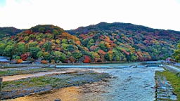 IMG_7682.JPG