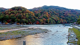 IMG_7684.JPG