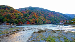 IMG_7686.JPG
