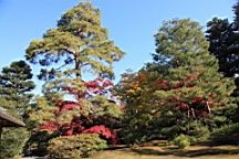IMG_7713.JPG