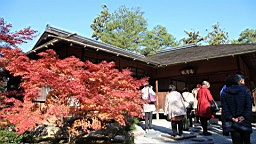 IMG_7726.JPG