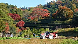 IMG_7736.JPG